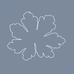 Tracing the Outline of a Leaf