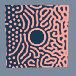 Coral, fed and blocked